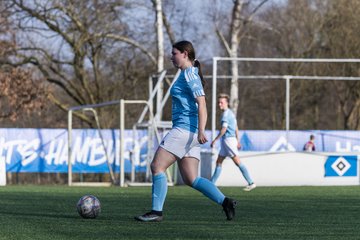 Bild 241 - F Hamburger SV 3 - Blau-Weiss 96 : Ergebnis: 5:1